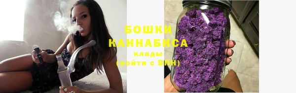 PSILOCYBIN Алзамай